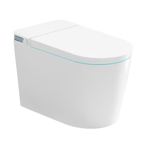 Intelligent Toilet